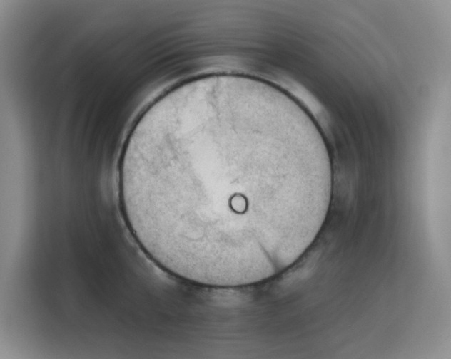 X0000113740807200909301010