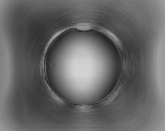 X0000113740808200909301010