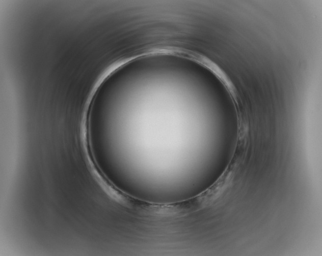 X0000113740811200909301010