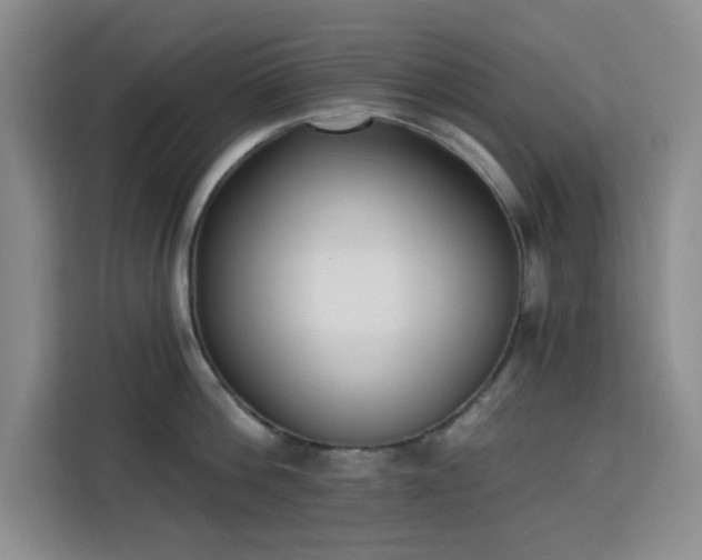 X0000113740812200909301010