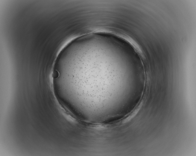 X0000113740814200909301010