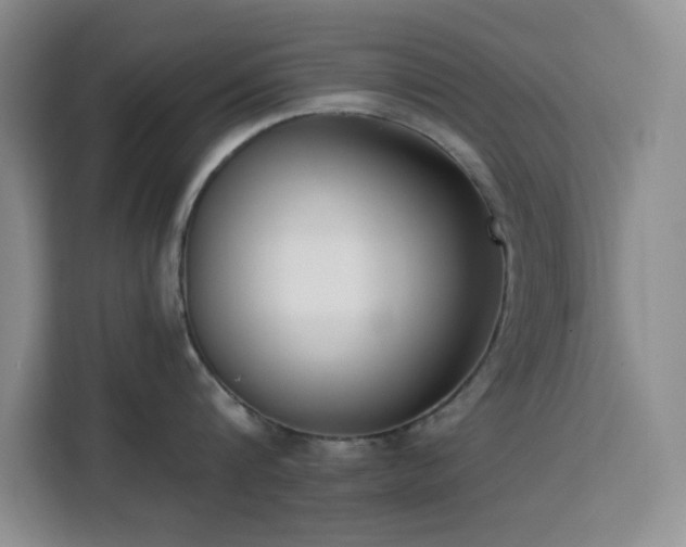 X0000113740816200909301010