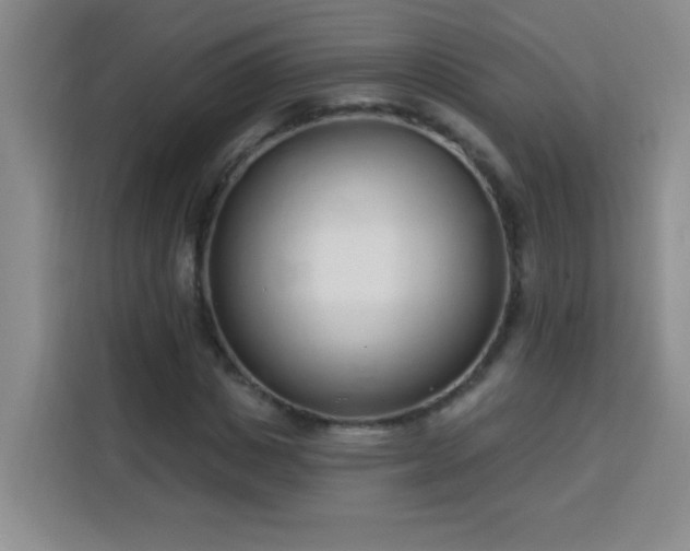 X0000113740825200909301009