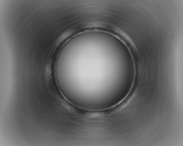 X0000113740826200909301009