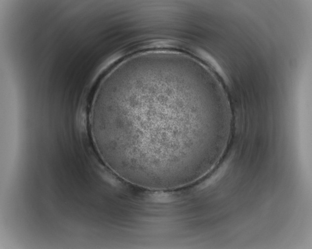 X0000113740827200909301009