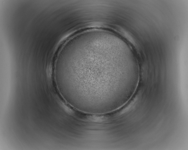 X0000113740831200909301009