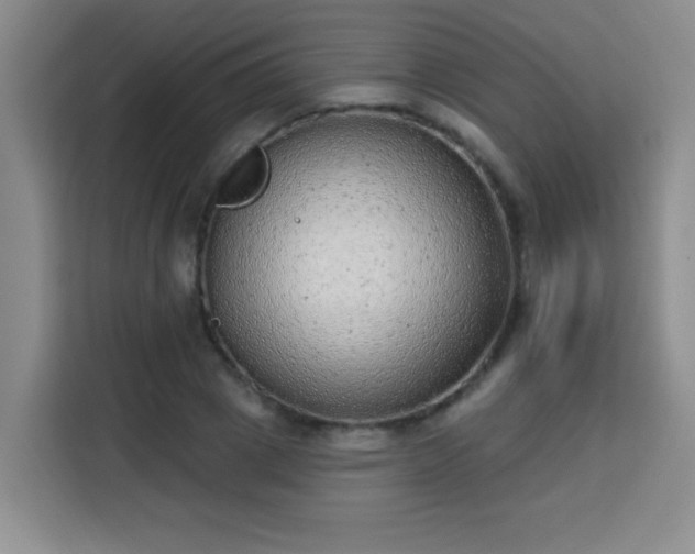 X0000113740833200909301009