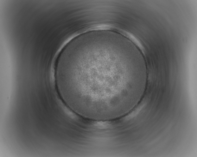 X0000113740835200909301009