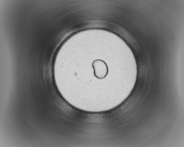 X0000113740836200909301009