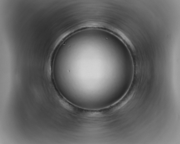 X0000113740837200909301009