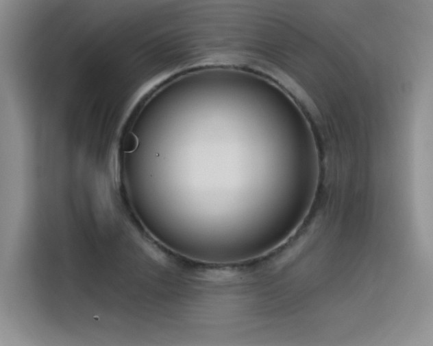 X0000113740838200909301009