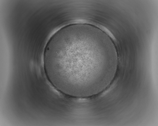 X0000113740839200909301009