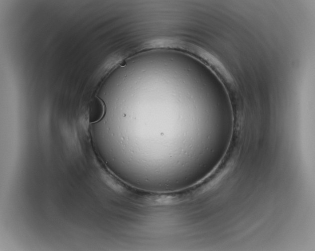 X0000113740841200909301009