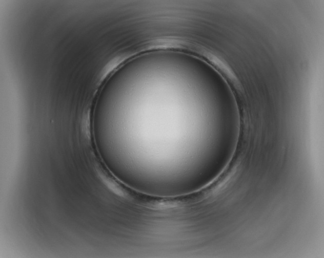 X0000113740842200909301009