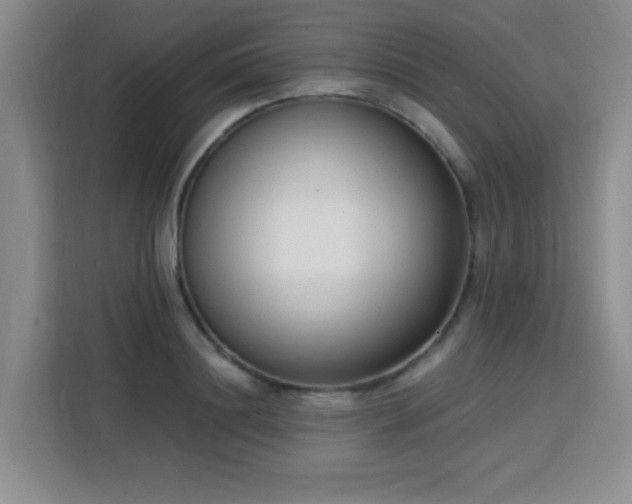 X0000113740844200909301009