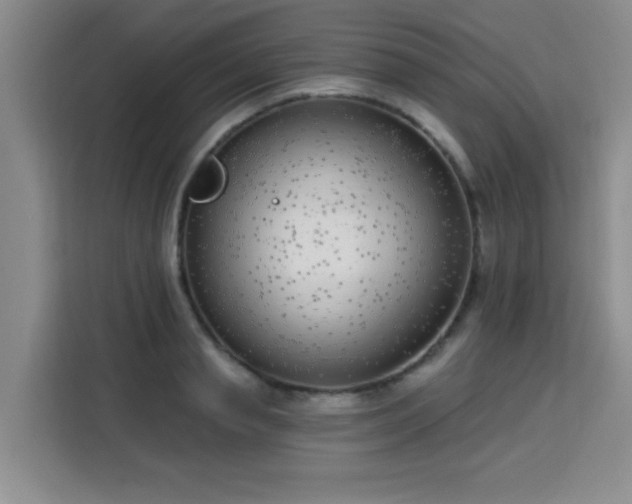 X0000113740845200909301010