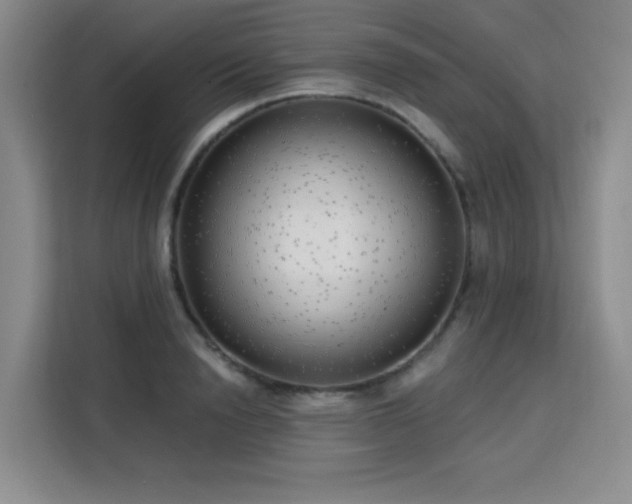 X0000113740846200909301010