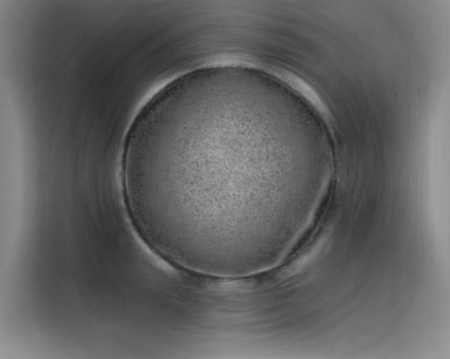 X0000113740847200909301010