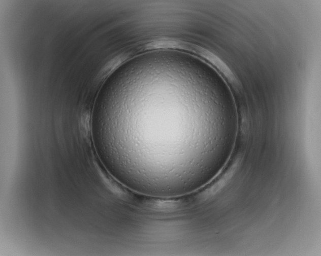 X0000113740849200909301010