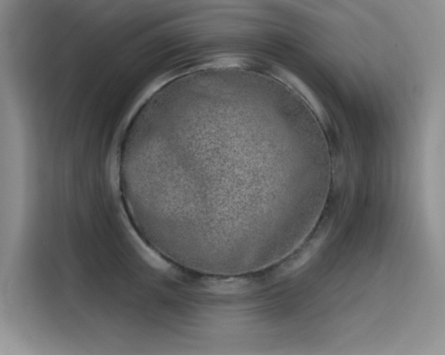 X0000113740851200909301010