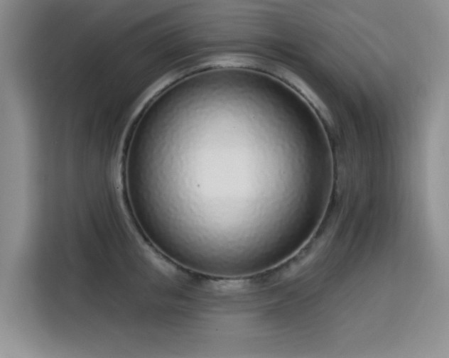 X0000113740853200909301010