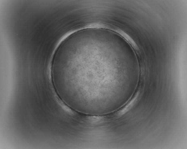 X0000113740854200909301010