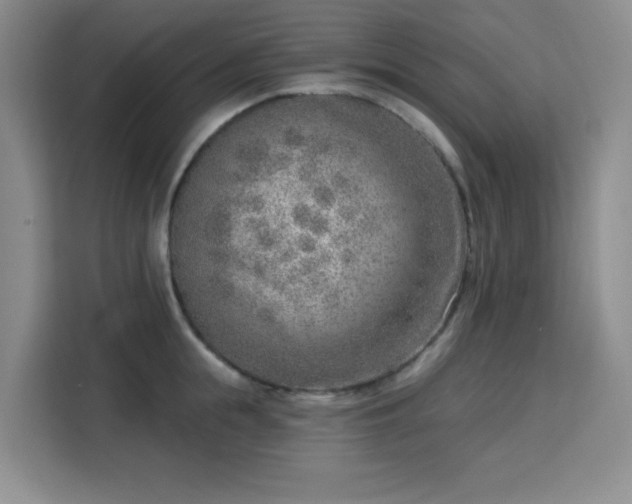 X0000113740855200909301010