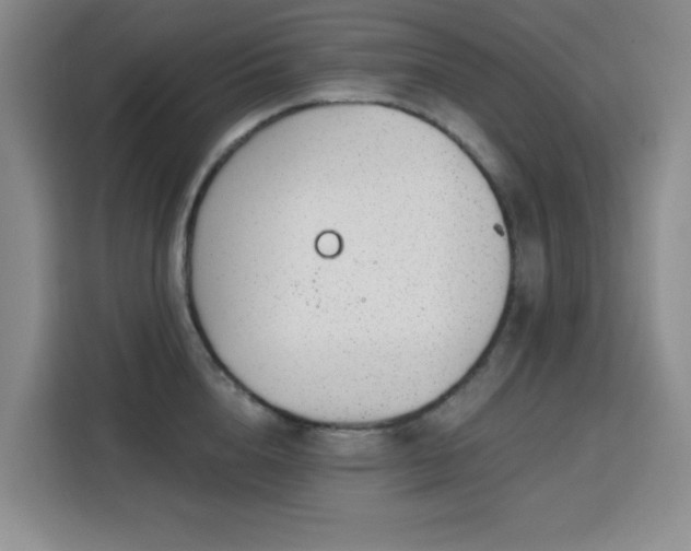 X0000113740856200909301010