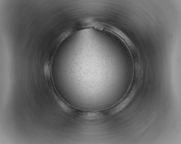 X0000113740857200909301010