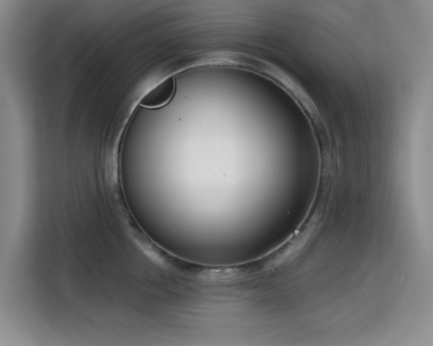 X0000113740858200909301010