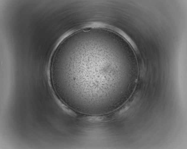 X0000113740861200909301010