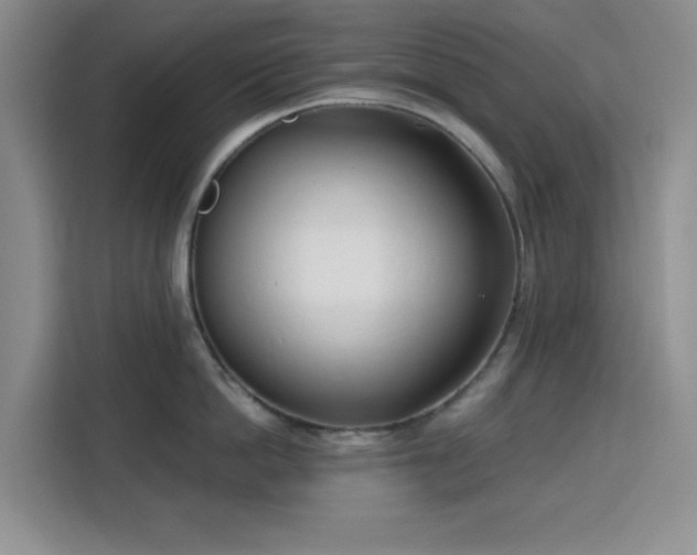 X0000113740862200909301010