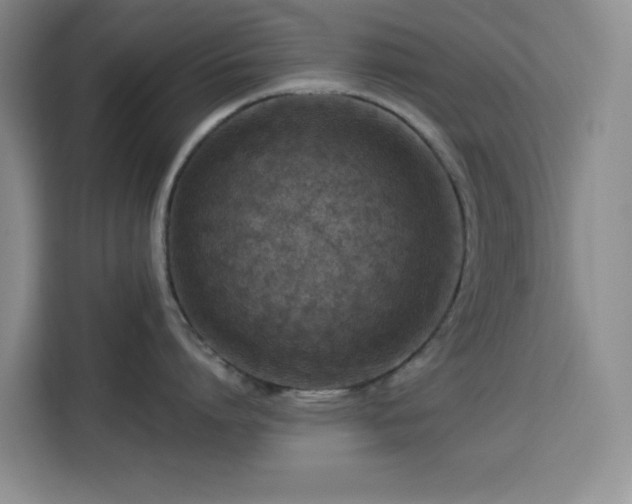 X0000113740864200909301010