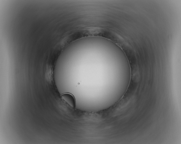 X0000113740866200909301009