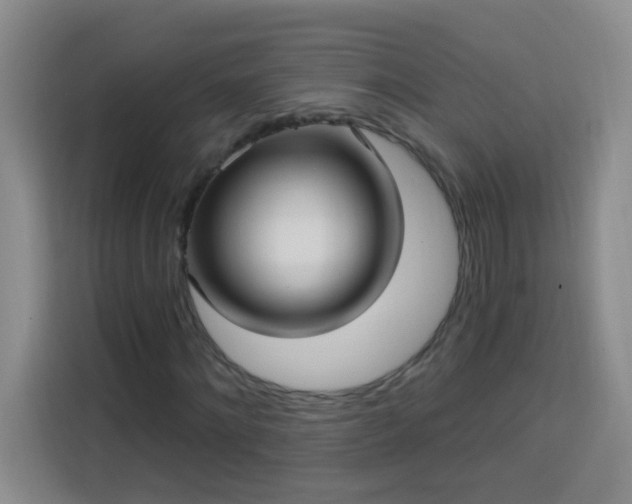 X0000113740868200909301009