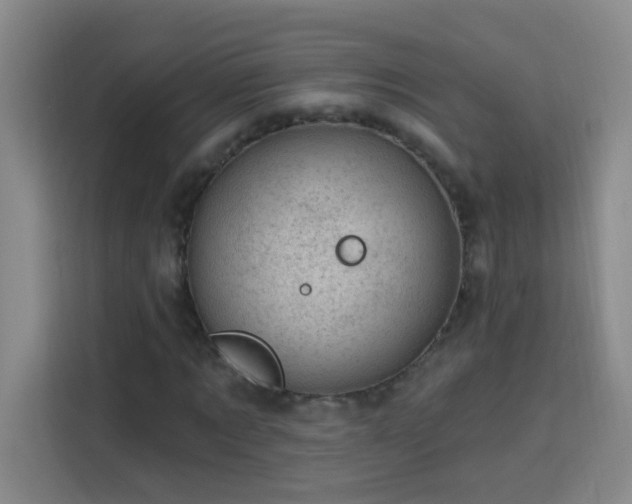 X0000113740869200909301009