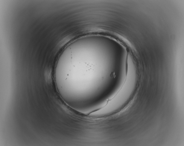 X0000113740873200909301009