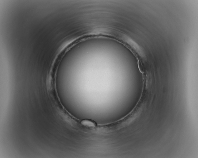 X0000113740876200909301009