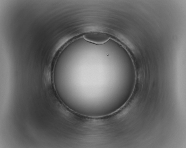 X0000113740877200909301009