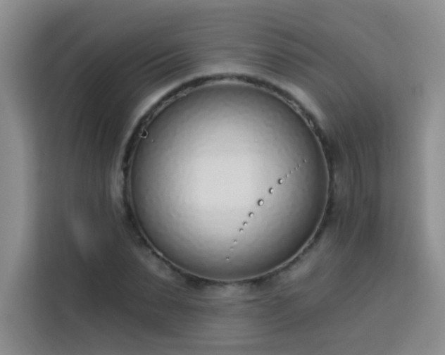 X0000113740879200909301009