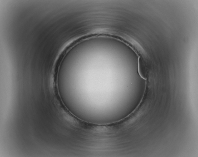 X0000113740880200909301009