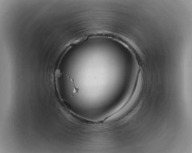 X0000113740881200909301009