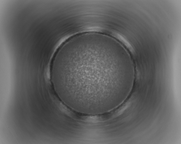 X0000113740883200909301009