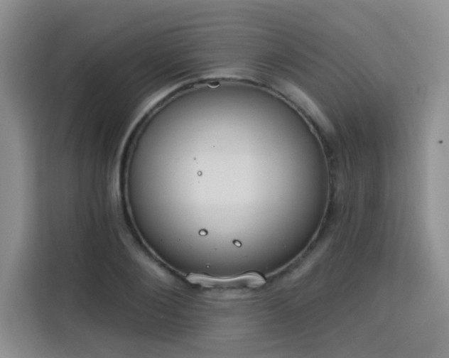 X0000113740884200909301009