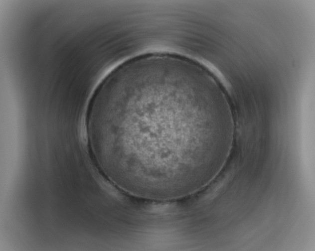 X0000113740887200909301009