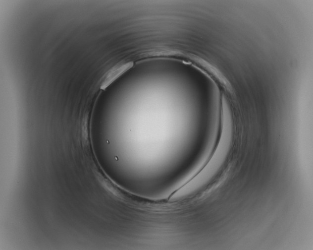 X0000113740889200909301009