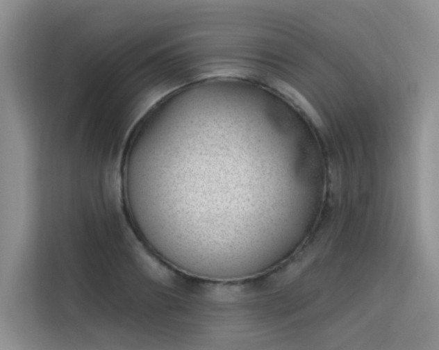 X0000113740890200909301009