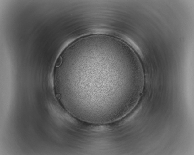 X0000113740891200909301009