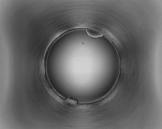 X0000113740892200909301009