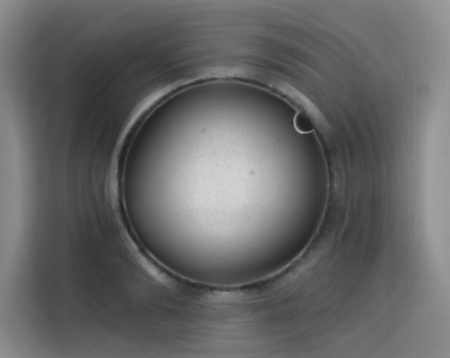 X0000113740894200909301009